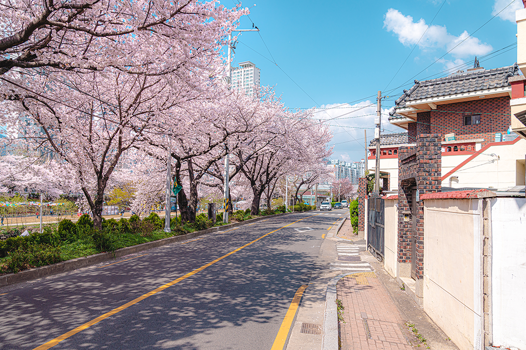 온천천 카페거리